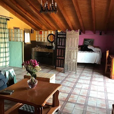 Apartament Terraza De Patria Vejer de la Frontera Zewnętrze zdjęcie