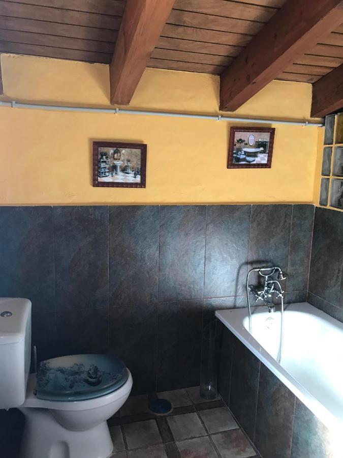 Apartament Terraza De Patria Vejer de la Frontera Zewnętrze zdjęcie